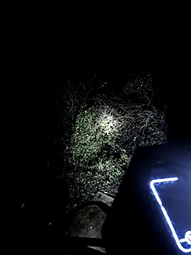 MODEST11 MMiILOO AMARO online show from November 18, 5:33 am