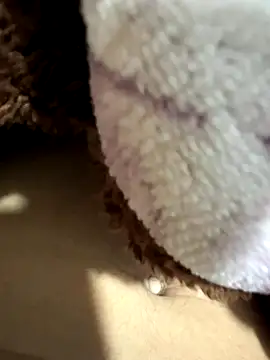 anhyeucuaemdayne online show from November 9, 5:06 pm