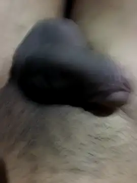 MH 12 11 online show from September 22, 4:28 pm