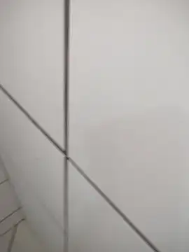 Novin23cms online show from January 14, 11:26 am