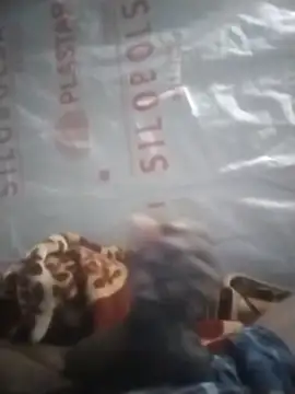 Kaygsy online show from March 6, 7:16 am