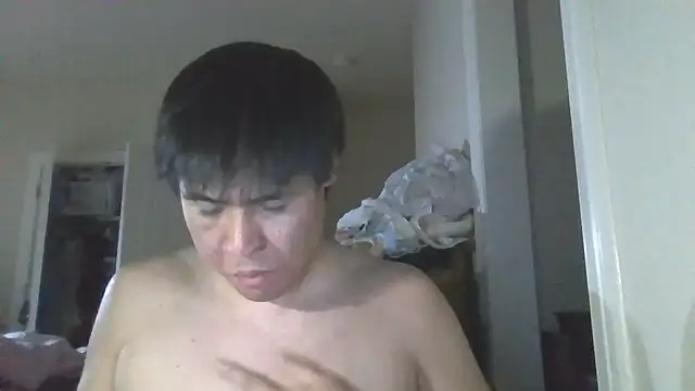 GeneralSunbeam online show from September 11, 11:42 am