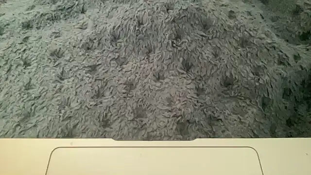 23istanblue23 online show from April 2, 3:20 pm