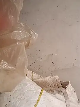 ipvk online show from March 1, 9:42 am