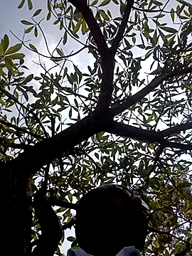 ipvk online show from March 2, 7:15 am