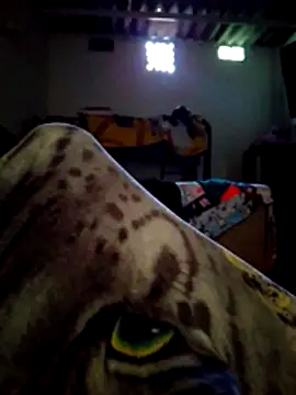 SALCEDO 041198 online show from December 21, 12:13 pm