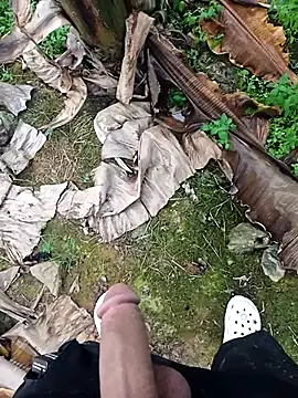 Sikici0734 online show from November 11, 2:00 pm