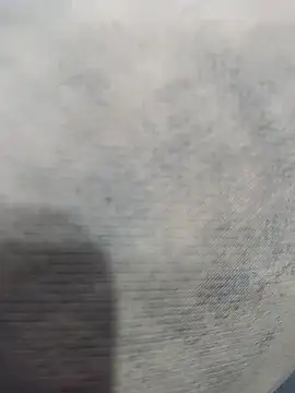 pn12345 online show from November 30, 2:19 pm