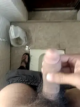 pn12345 online show from December 15, 3:36 am