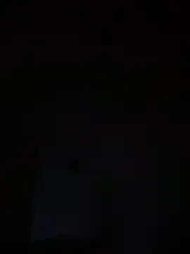 Dave-Max01 online show from November 15, 10:39 am