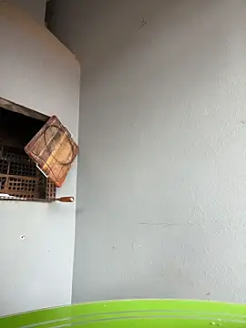 Sedutor69- online show from October 26, 6:32 pm