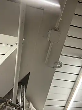 AlexGogo23 online show from February 17, 4:55 am