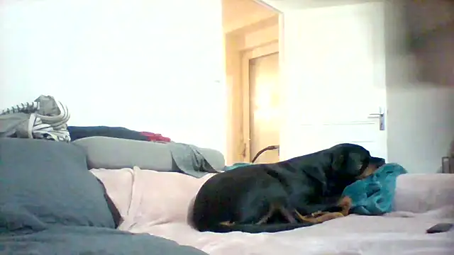 Snapshot of fresh-laD chatting on October 26, 12:12 am fresh-laD online show from October 26, 12:12 am