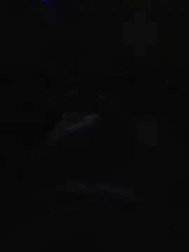 LudaX1 online show from May 23, 9:48 am