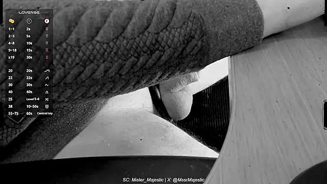 Mister Majestic online show from December 5, 12:45 pm