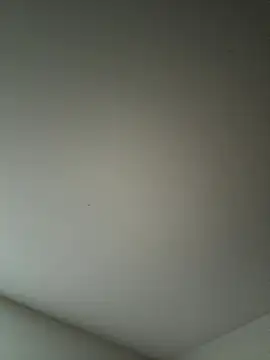 derekp55 online show from November 2, 12:53 pm