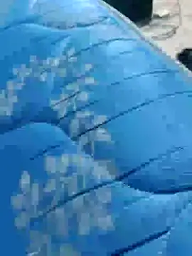 Morbosnif online show from February 8, 3:56 am