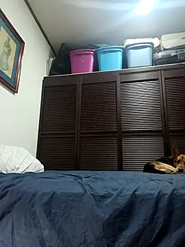 elargon dawn online show from November 25, 6:37 am