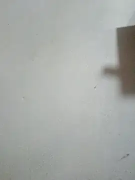 Josenav44 online show from February 4, 12:38 am