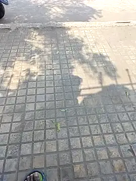 WettedGlimpse online show from December 3, 6:52 am