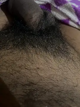 playboyoftelugu online show from November 15, 5:53 am