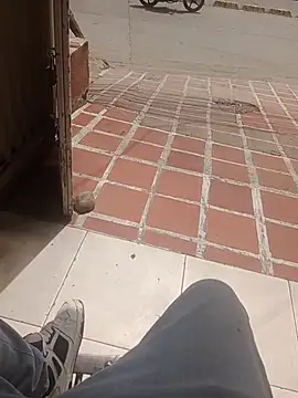 NestedReagent online show from June 2, 5:47 pm