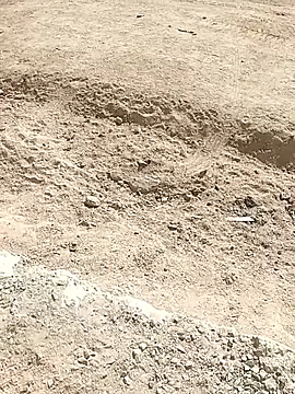 indiandesicpl2026 online show from December 4, 12:56 pm