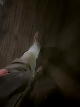 Phil-jae online show from November 21, 7:18 am