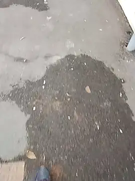 NovelPastime6 online show from January 14, 2:44 pm