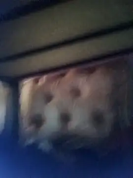 Cuteyuuboy2086 online show from January 13, 1:04 pm