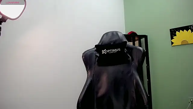 Yankeee  online show from December 5, 3:46 am