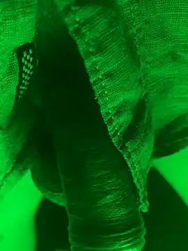 zoodangermind online show from June 25, 1:30 am
