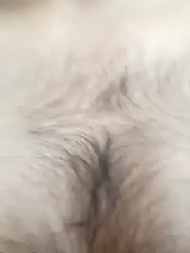 bnglrboy0886 online show from February 7, 10:00 am