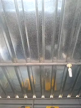 biggy mash online show from December 17, 10:33 am