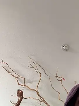 LienalWarplane online show from February 5, 2:24 pm