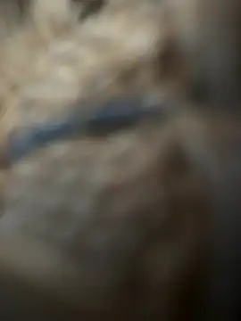 keepwe65 online show from April 16, 7:41 am