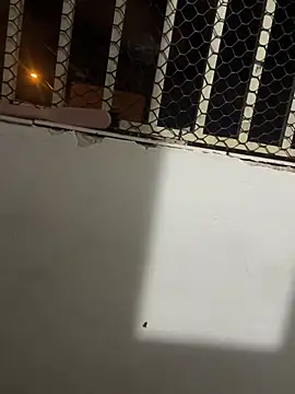 LontraAndBear online show from February 14, 7:47 am