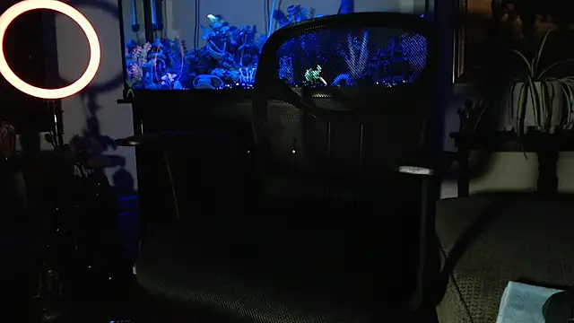 EspanolVato online show from February 16, 9:29 am