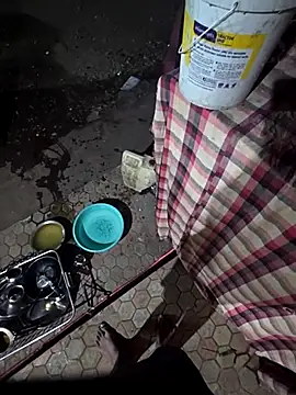 X-MARATHI online show from January 12, 5:17 pm