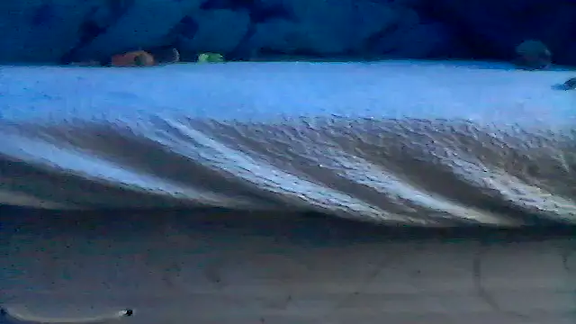 Silencio26 online show from April 19, 6:10 pm