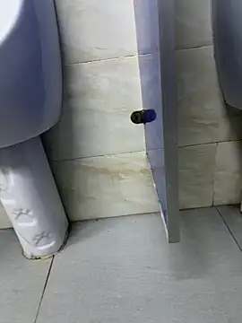 Toilet-public online show from March 25, 4:11 pm