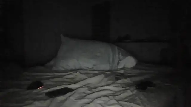 cts82190xh online show from January 8, 7:46 am