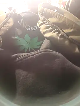 dildarlund online show from January 9, 1:49 pm