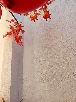 Dante Knox online show from March 8, 11:25 am