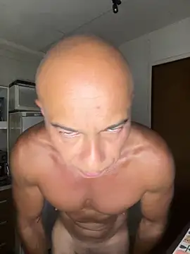 dogfrota online show from February 25, 2:40 pm