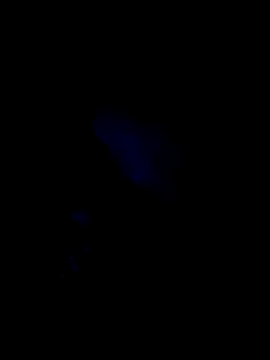 061190 online show from February 25, 3:24 pm