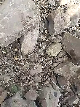 Cute Boy 4 online show from March 30, 6:47 am