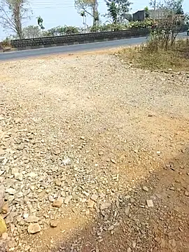 janu 9900 online show from February 18, 6:11 am