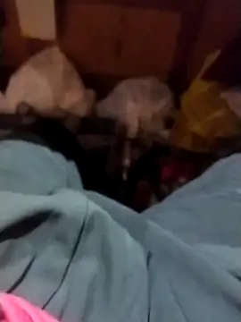 sudip999999 online show from March 13, 9:17 am