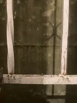 Diggaoder online show from April 21, 3:45 am